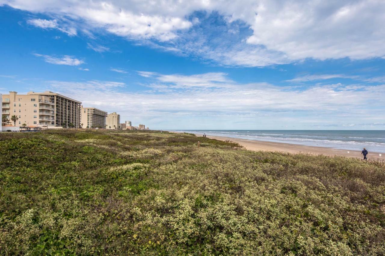 Palm Tree Escape Apartment South Padre Island Exterior foto